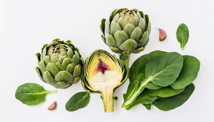 Obraz premium Artichokes and spinach isolated on white background