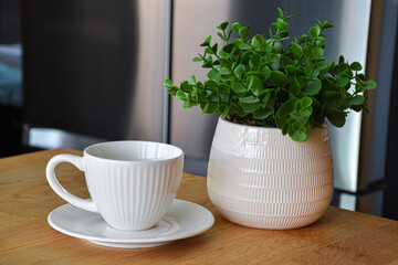 Ceramic white mug with saucer