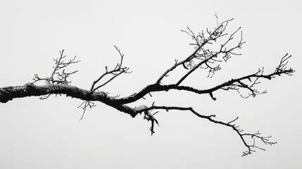 Few branches in Monochrome