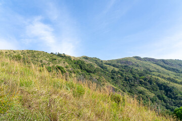 Fototapeta premium Brahmagiri Hills in Wayanad, Kerala, India.
