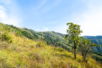 Brahmagiri Hills in Wayanad, Kerala, India.