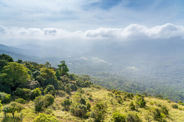 Fototapeta premium Brahmagiri Hills in Wayanad, Kerala, India.