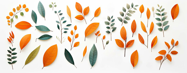 Set of orange tropical leaves isolated on a white background