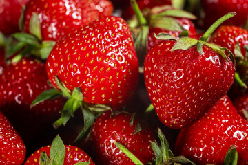 Red ripe strawberries background. Close up, top view