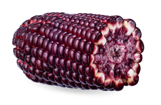 corn isolated on white background