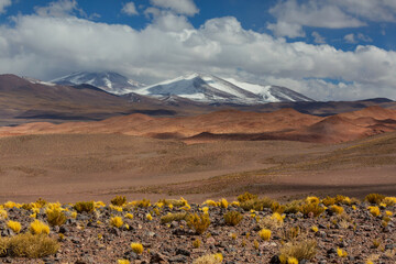 Northern Argentina