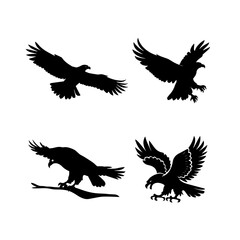 Eagle Vector Illustration Set, Black and White Silhouettes. Perfect for Logos, Designs