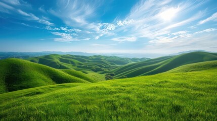 Obraz premium A large, open field with a bright blue sky and a few clouds