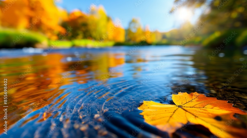 Poster autumn leaf floating in stream with blurred forest background.