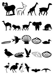 animal silhouette. vector animal collection.vector collection of many animal silhouettes
