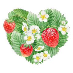 Red strawberry with white flowers heart bush hand drawn watercolor illustration. Food art, fresh botanical realistic painting. Summer berry clipart for restaurant, cafe menu, farm goods, vegan product