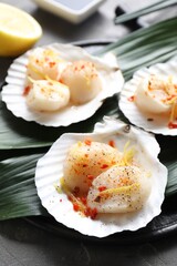 Raw scallops with spices, lemon zest and shells on grey table, closeup
