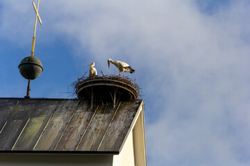 Germany, 11, June, 2024: Storks nesting on a rooftop against a blue sky.