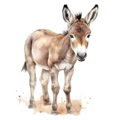 Obraz premium Cute donkey watercolor illustration, animals and farm clipart