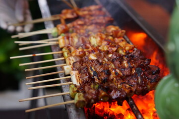 grilled chicken skewer on fire