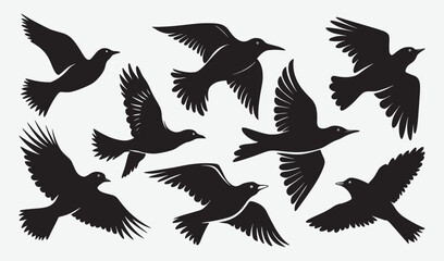 Birds Silhouette Vector Collection Hand drawn