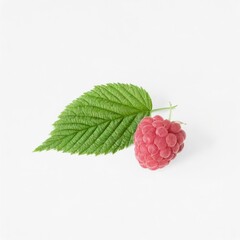 Raspberry isolated on white background