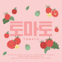 토마토 일러스트