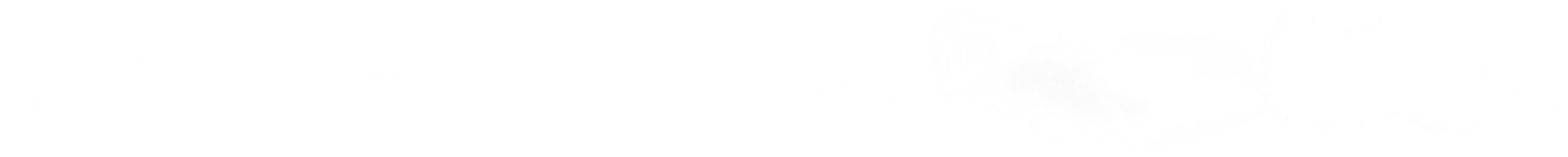 White fog spray effect set