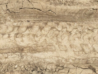 Crack in rock texture. Stone texture closeup