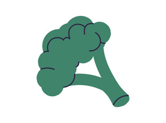 Obraz premium Fresh green vegetable broccoli, healthy natural vitamin food ingredients, green broccoli food, healthy natural cabbage tree, raw veggie isolated on white background flat vector illustration. 