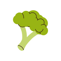 Fresh green vegetable broccoli, healthy natural vitamin food ingredients, green broccoli food, healthy natural cabbage tree, raw veggie isolated on white background flat vector illustration.
