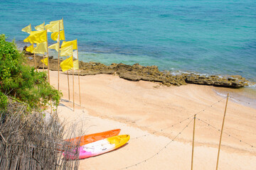 Ariel top view of a tropical beach with colorful kayaks and flags on the beach with crystal clear blue waters at Koh Larn in holiday. Tropical beach decorated with summer vacation theme.