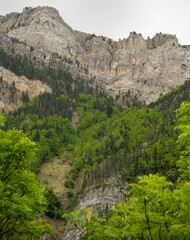 tree lined rock outrcrops and glacial formations, gorges and canyons in mountains, Spain