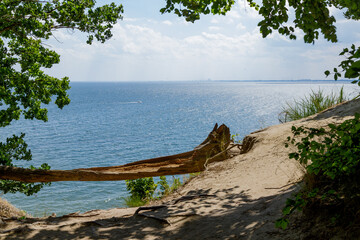 View of the sea from the cliff.