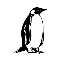 Fototapeta premium penguin isolated on white