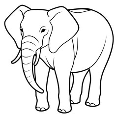 Asian elephant and African elephant vector line art and silhouette illustration