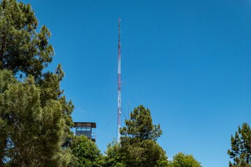 Entre os pinheiros e um c&eacute;u azul, uma antena de r&aacute;dio e telecomunica&ccedil;&atilde;o