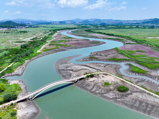 시흥시 바닷가의 갯골과 습지