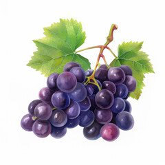 Fototapeta premium Close-up of a vibrant cluster of ripe purple grapes representing fresh produce and vineyard harvest season