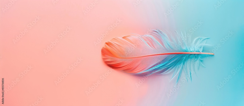 Poster bird feather on a pastel background Isolated  Nature. with copy space image. Place for adding text or design