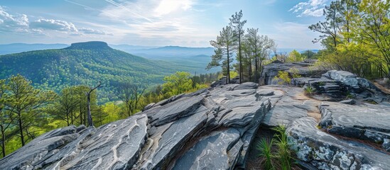 Black mountain overlook trail looking out at the vista with geological wavy rock and mountains in the distance and trees blooming in springtime. Copy space image. Place for adding text or design