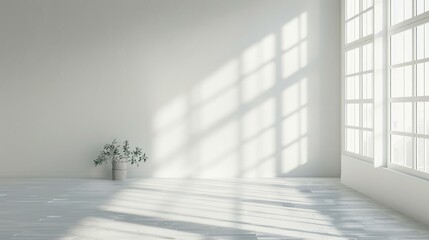 Fototapeta premium Sunlight Shadow Overlay on White Wall Background with Multiply Mode