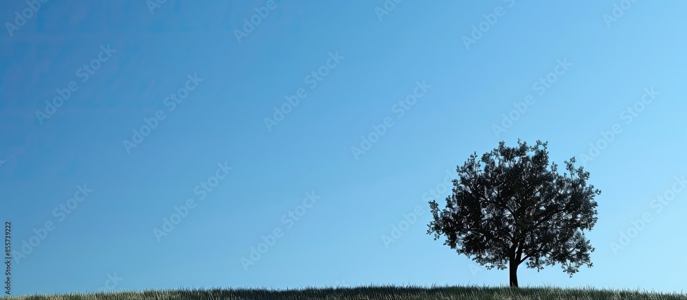 Poster a tree silhouette. Copy space image. Place for adding text or design