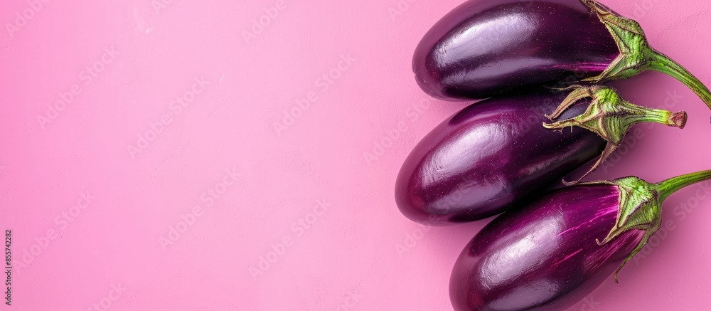 Leinwandbilder eggplant isolated on pastel background isolated eggplant. with copy space image. place for adding te