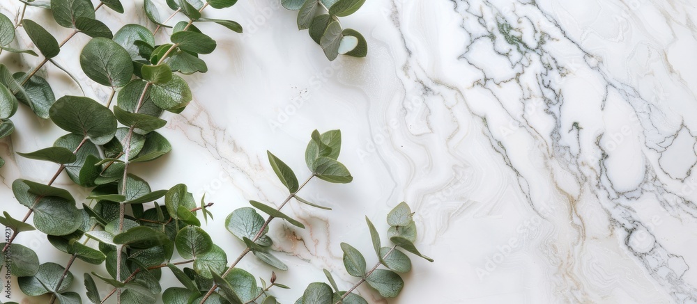 Aufkleber A wooden board with a branch of Eucalyptus, on a marble background pastel background. with copy space image. Place for adding text or design