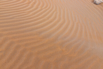 Beautiful wavy sand texture on the beach.