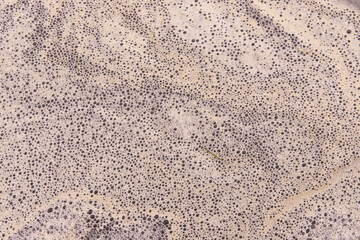 White foam on the surface of the water.