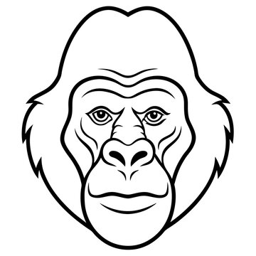 recommend clip art: Gorilla head vector line art and linocut illustration