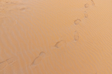Footprints on wavy sand.