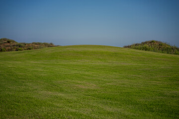 Summer landscape, green lawn and blue sky