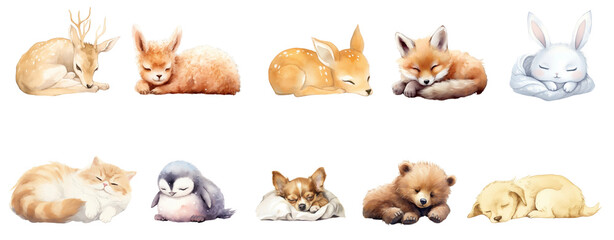 PNG Watercolor drawing cute sleeping baby wild animal  cut out element set