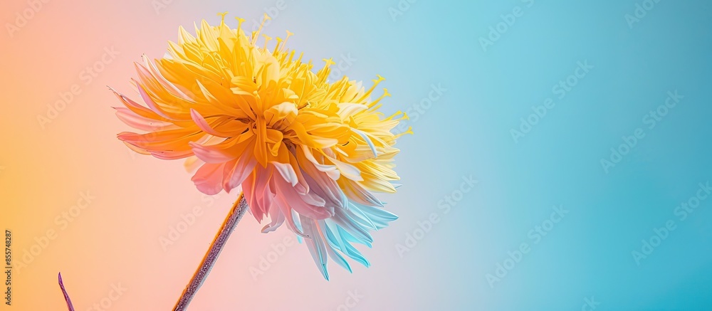 Aufkleber Yellow spike flower on pastel background  Abstract  Flower. with copy space image. Place for adding text or design