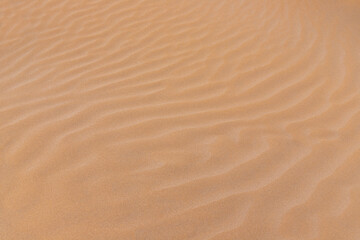 Beautiful wavy sand texture on the beach.