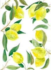 watercolor, lemons