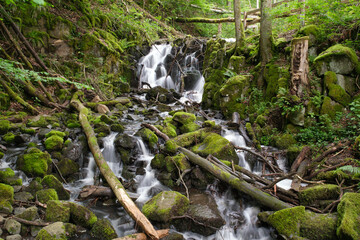 Teufelsm&uuml;hle, Rh&ouml;n